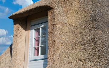 Wattlefield thatch roof disadvantages